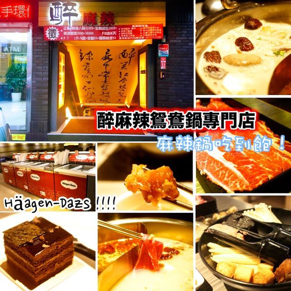 häagen-dazs,吃到飽,醉麻辣,麻辣鴛鴦鍋 @艾瑪  吃喝玩樂札記