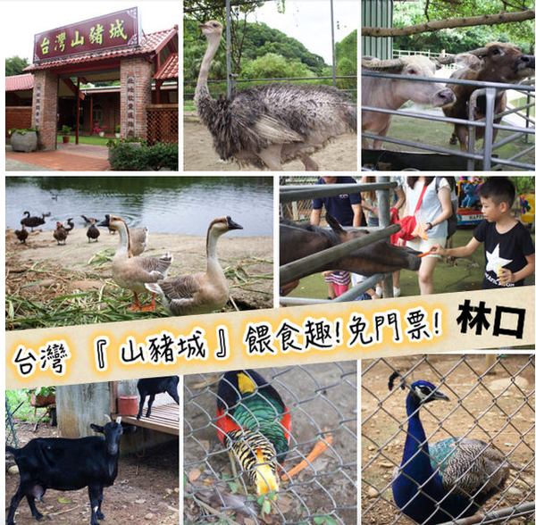 螢幕快照 2017-01-31 上午10.13.16.png 螢幕快照 2017-01-31 上午10.13.16.png