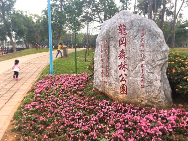 茂林_170108_0010.jpg