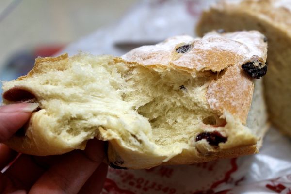 IMG_8231.JPG