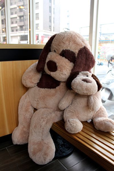 IMG_6731.jpg IMG_6731.jpg