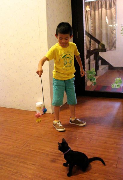 IMG_7854.jpg IMG_7854.jpg