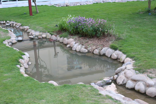 19.JPG