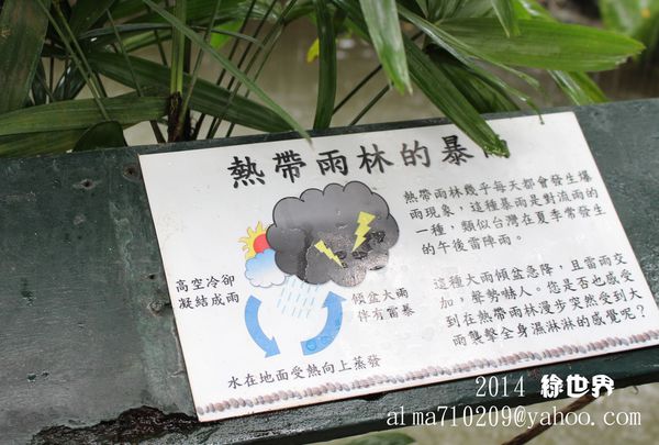 24.JPG 24.JPG