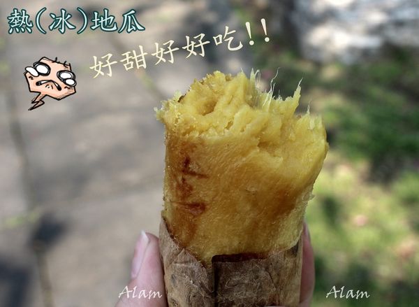 20.JPG 20.JPG