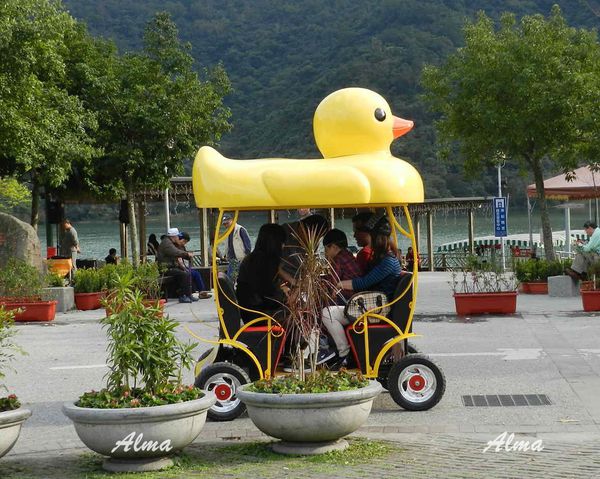 24.JPG 24.JPG