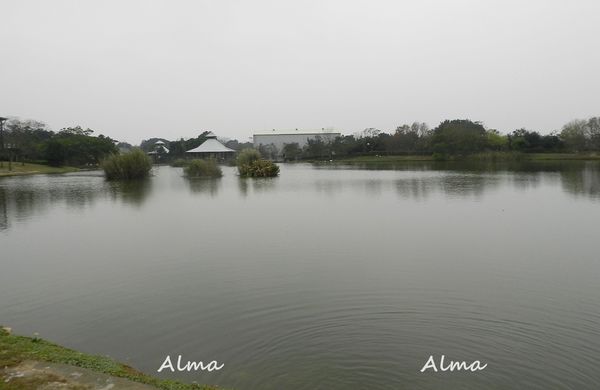 16.JPG 16.JPG