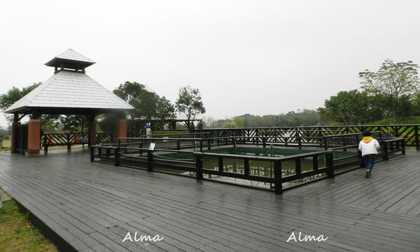 27.JPG 27.JPG