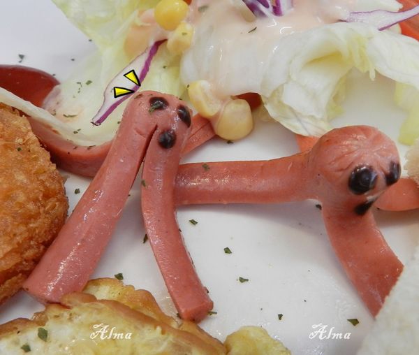 13.JPG 13.JPG
