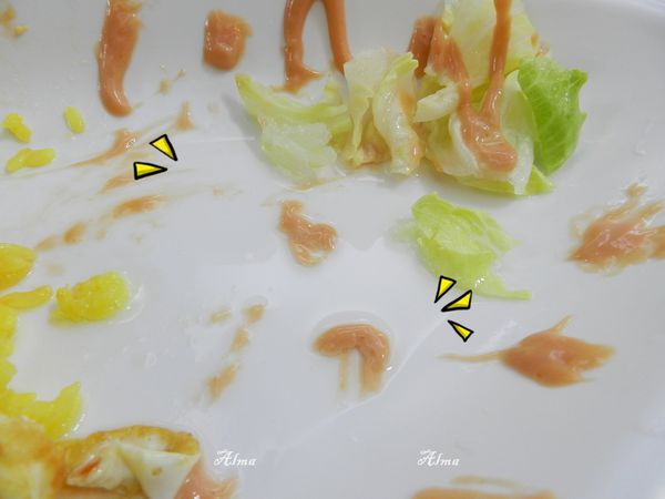 5.JPG 5.JPG
