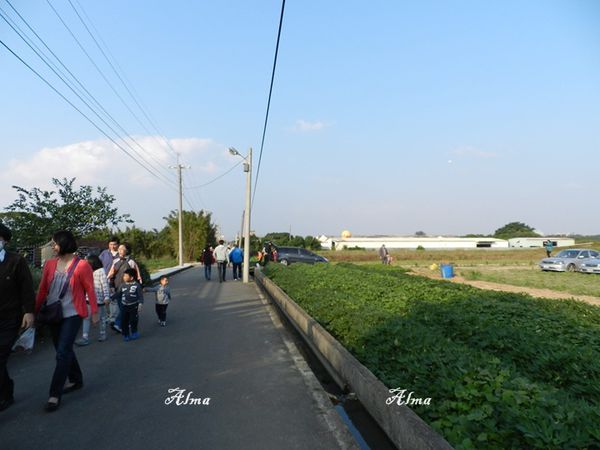 5.JPG 5.JPG