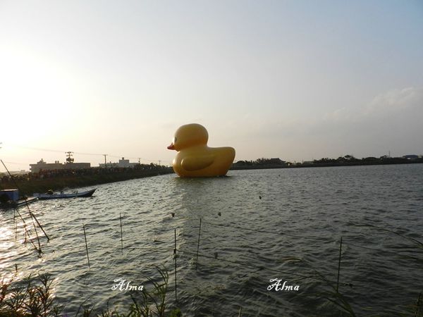 20.JPG 20.JPG