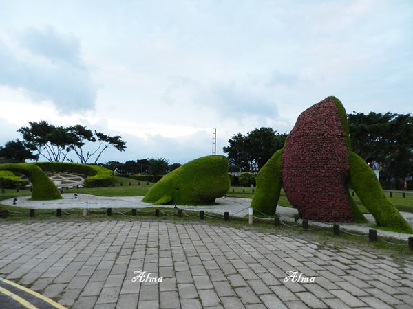 15.JPG 15.JPG