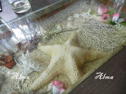 柏藍小築9.JPG 柏藍小築9.JPG