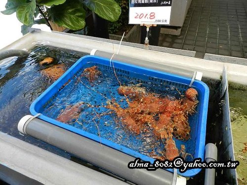 上引水產 上引水產