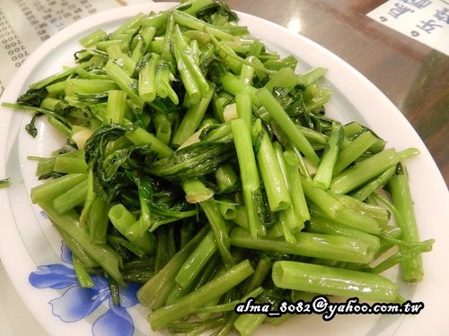 日本的貓瓶子 日本的貓瓶子