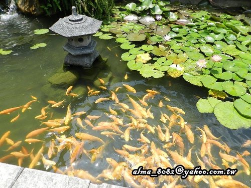 林口酒廠,石來堂,美川 林口酒廠,石來堂,美川