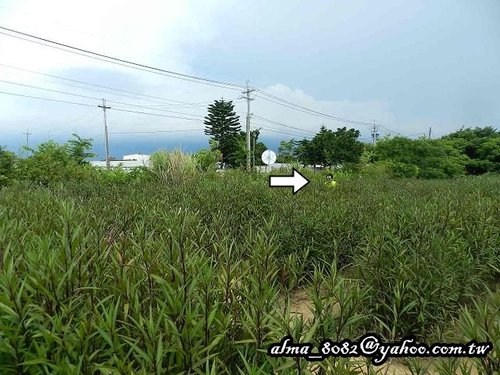 原田拓手作麵包,青林農場 原田拓手作麵包,青林農場