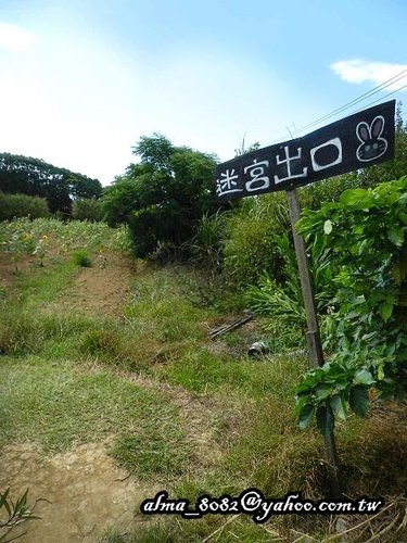 原田拓手作麵包,青林農場 原田拓手作麵包,青林農場