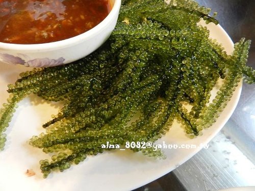 包心圓,宜蘭美食,植物園,牛奶土司,甕窯雞,義珍香,菓風,香草菲菲,麥香核桃 包心圓,宜蘭美食,植物園,牛奶土司,甕窯雞,義珍香,菓風,香草菲菲,麥香核桃