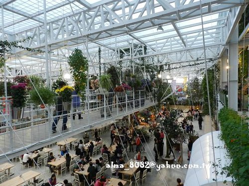 包心圓,宜蘭美食,植物園,牛奶土司,甕窯雞,義珍香,菓風,香草菲菲,麥香核桃 包心圓,宜蘭美食,植物園,牛奶土司,甕窯雞,義珍香,菓風,香草菲菲,麥香核桃