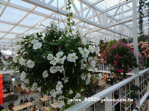 包心圓,宜蘭美食,植物園,牛奶土司,甕窯雞,義珍香,菓風,香草菲菲,麥香核桃 包心圓,宜蘭美食,植物園,牛奶土司,甕窯雞,義珍香,菓風,香草菲菲,麥香核桃