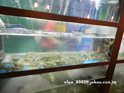 cold stone,易鼎活蝦餐廳,活蝦餐廳,羊肉爐,胡椒蝦 cold stone,易鼎活蝦餐廳,活蝦餐廳,羊肉爐,胡椒蝦