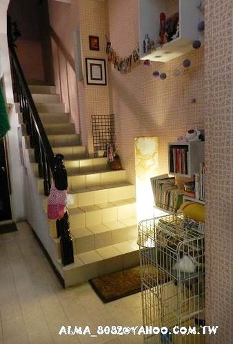 design fever,貓咪餐廳 design fever,貓咪餐廳