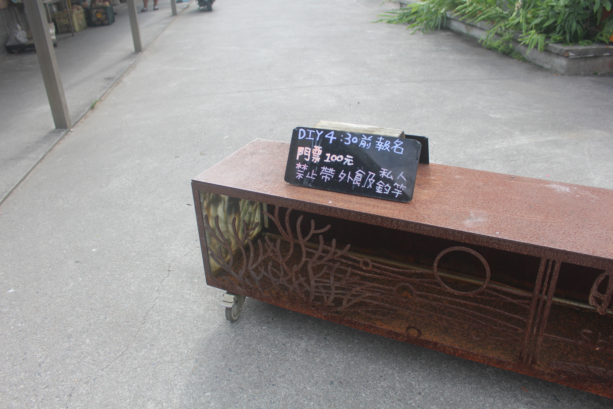 勝洋水草 勝洋水草