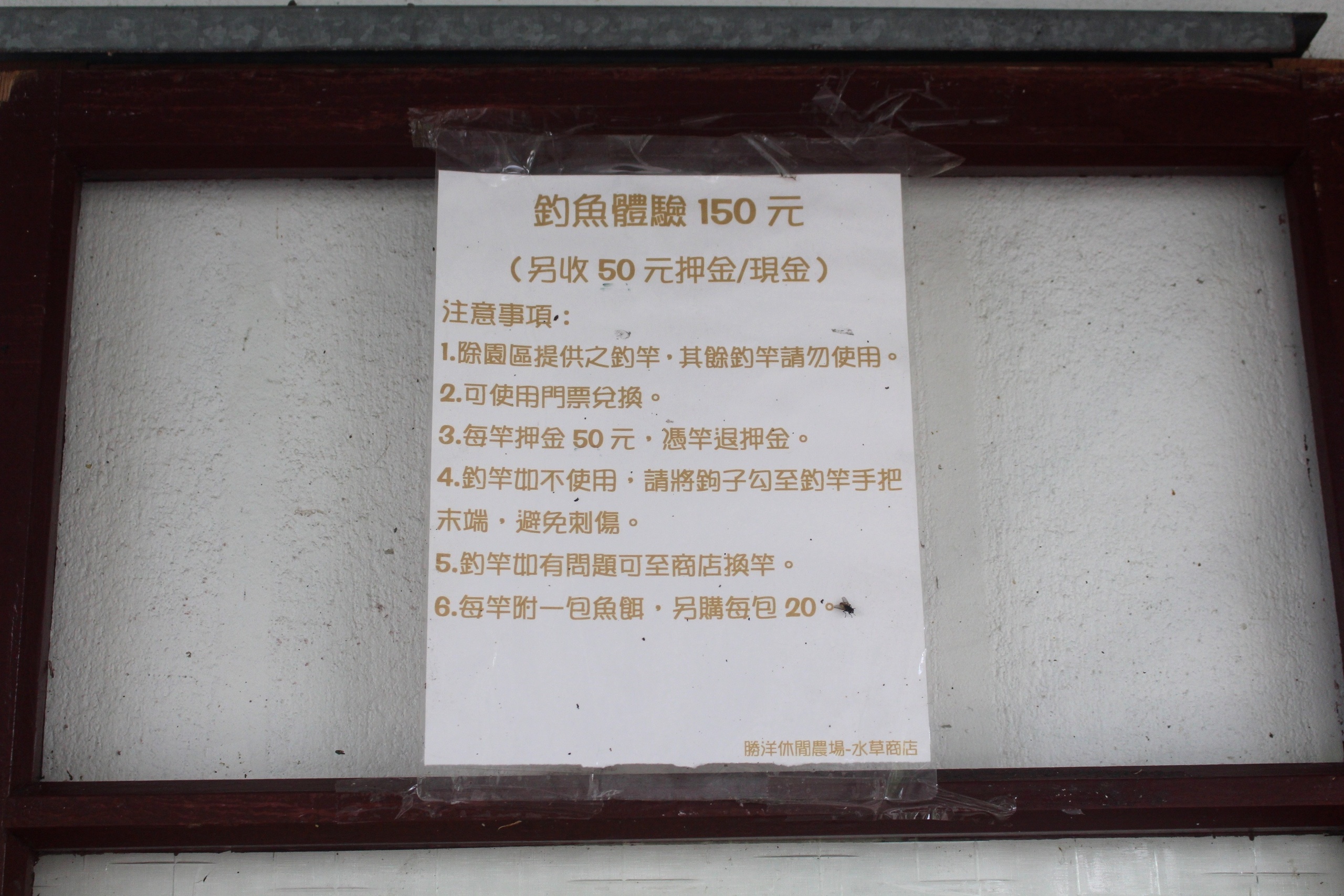 勝洋水草 勝洋水草
