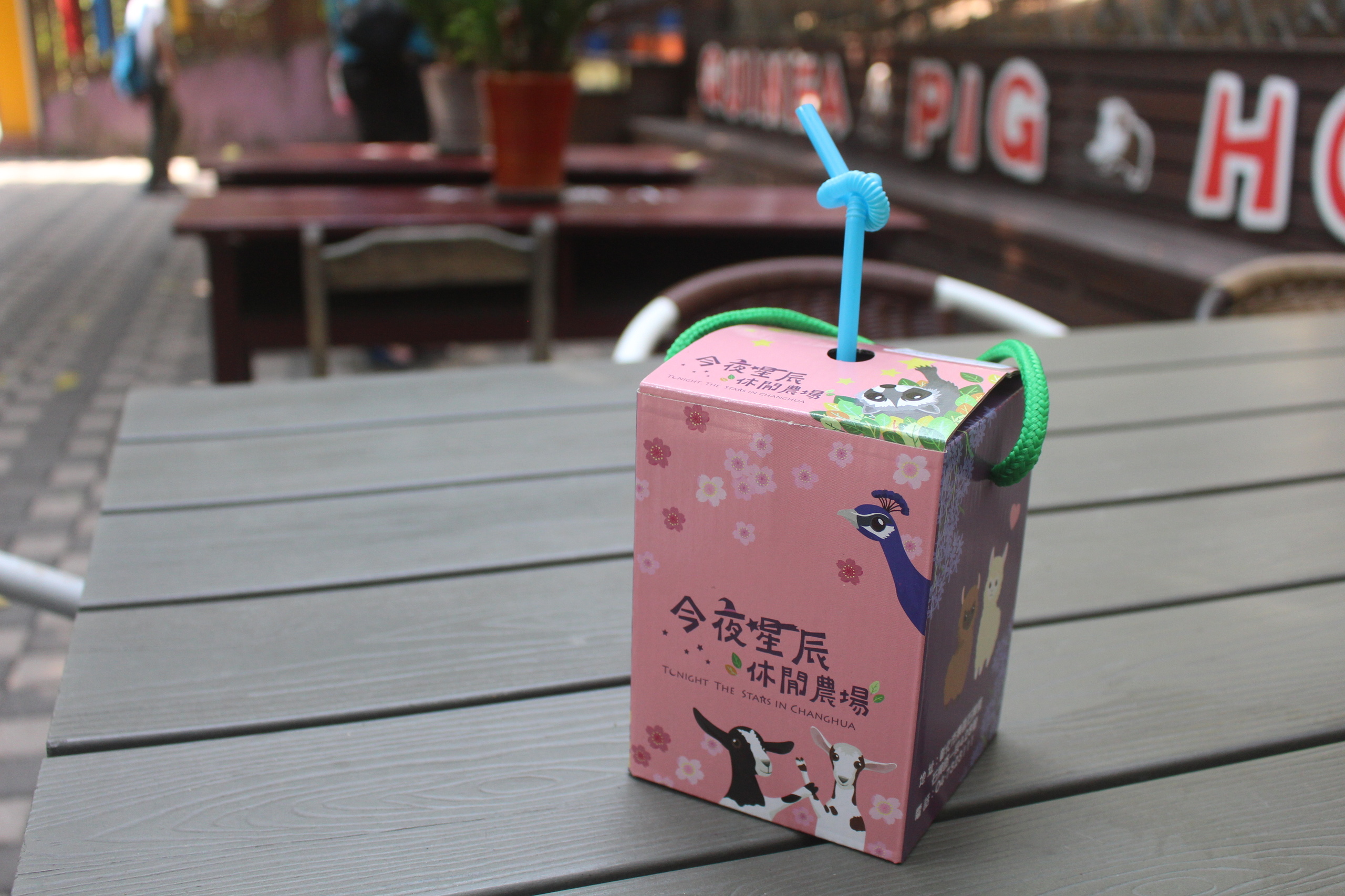 【彰化 今夜星辰休閒農場】超萌「戴髮圈的草泥馬」IG拍照打卡點、動物互動餵食區