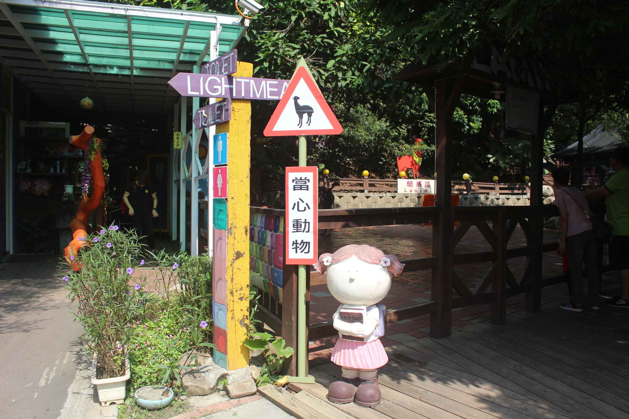 【彰化 今夜星辰休閒農場】超萌「戴髮圈的草泥馬」IG拍照打卡點、動物互動餵食區