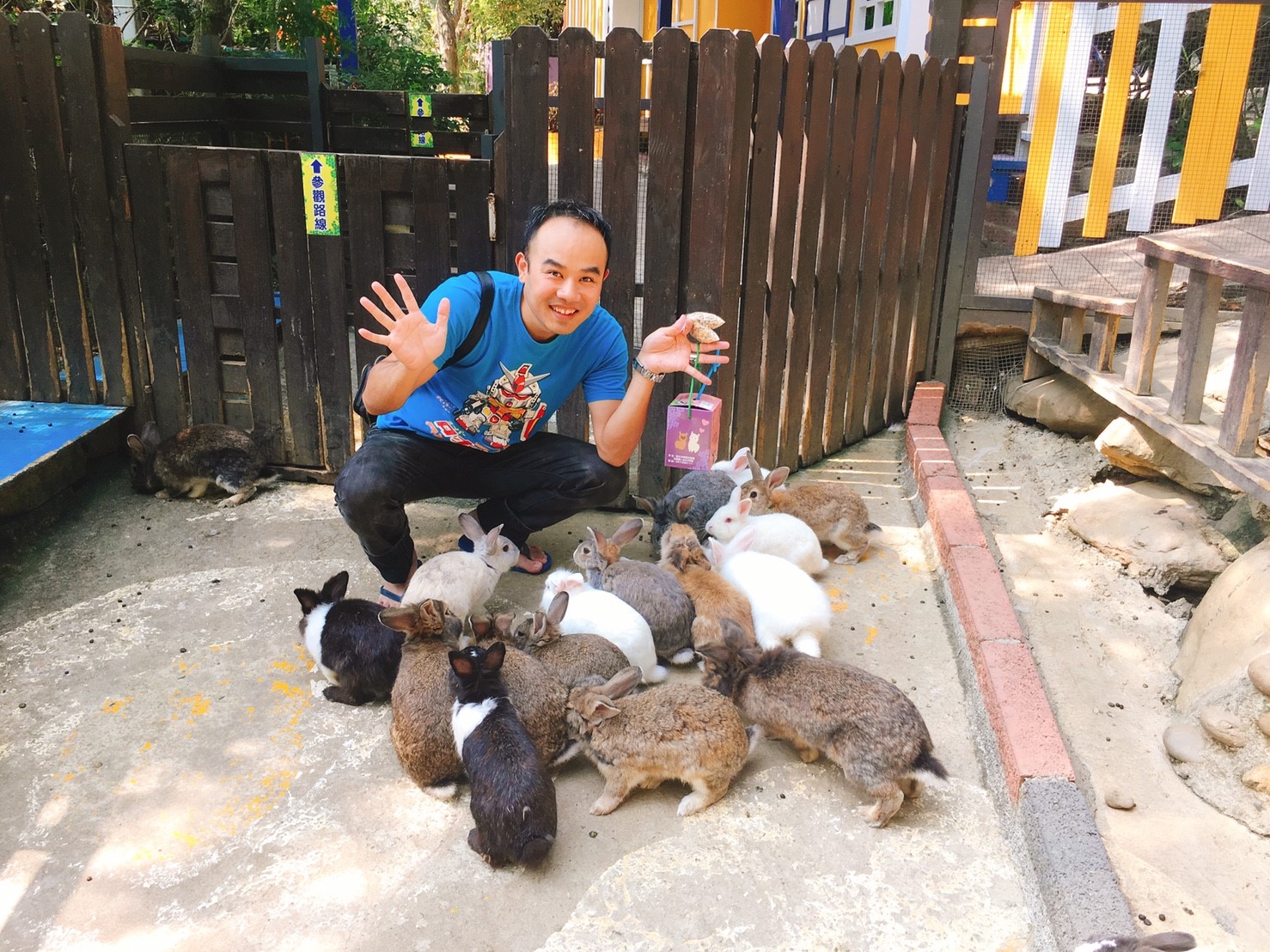 【彰化 今夜星辰休閒農場】超萌「戴髮圈的草泥馬」IG拍照打卡點、動物互動餵食區