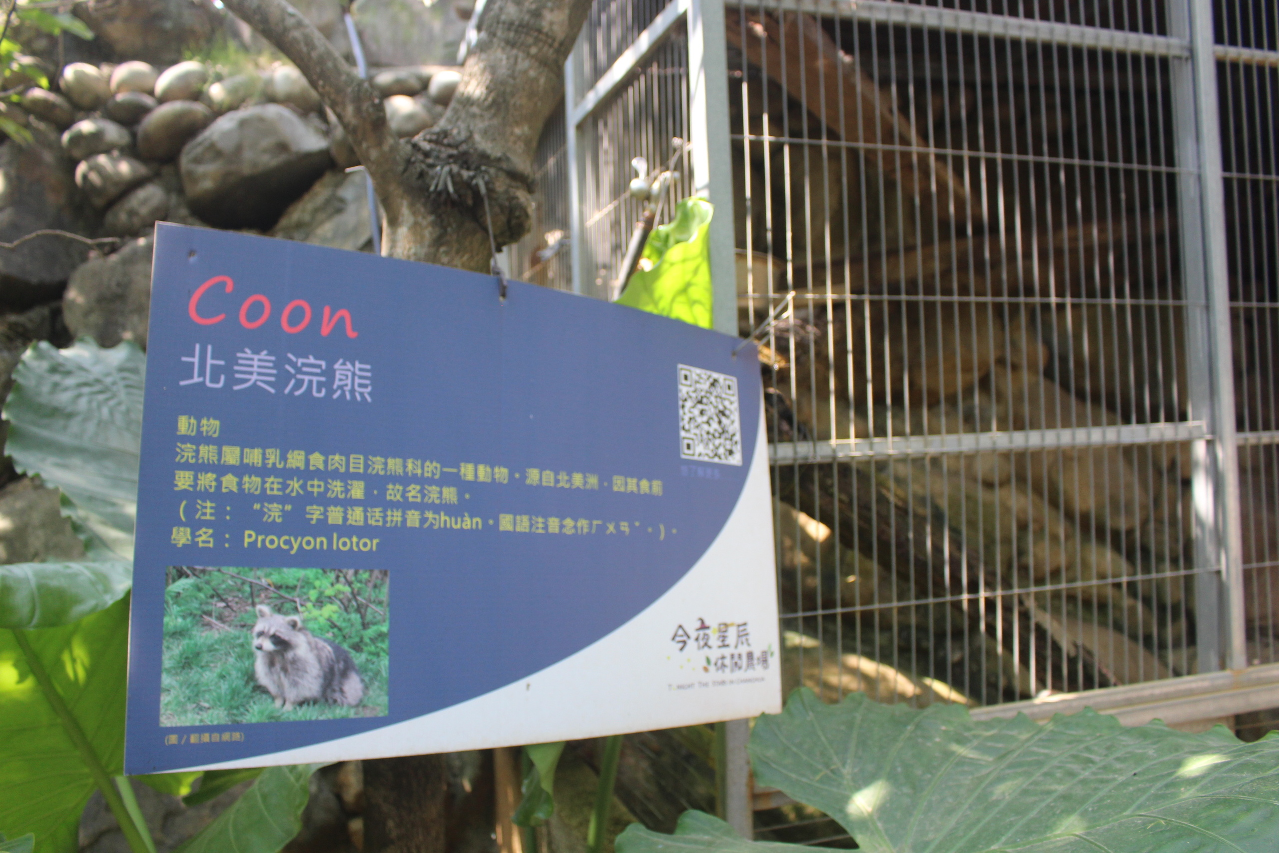 【彰化 今夜星辰休閒農場】超萌「戴髮圈的草泥馬」IG拍照打卡點、動物互動餵食區