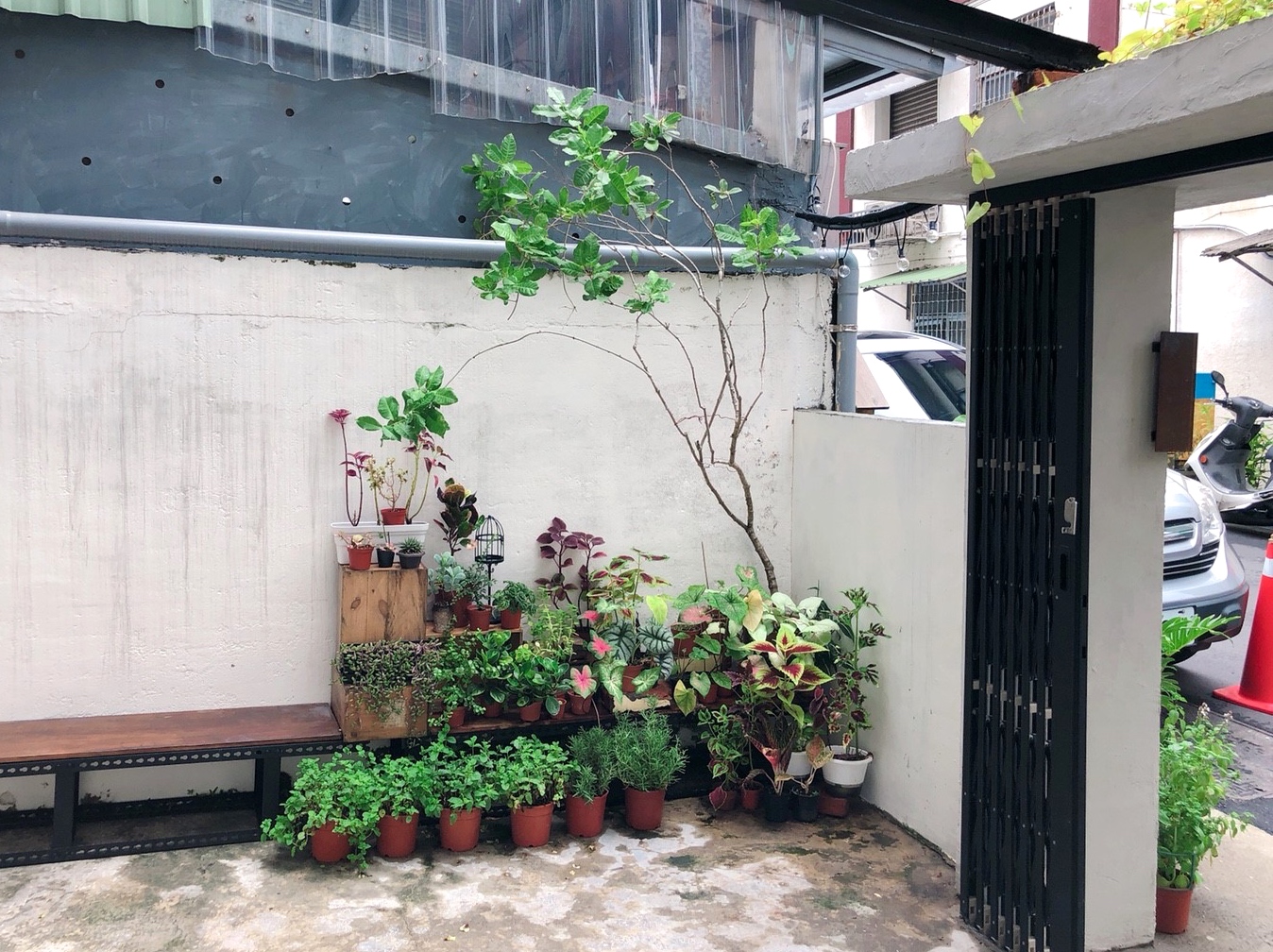 【桃園 藏巷 hidden in lane】藏匿住宅區的老房餐館。主廚餐點、手工甜點純粹好味道