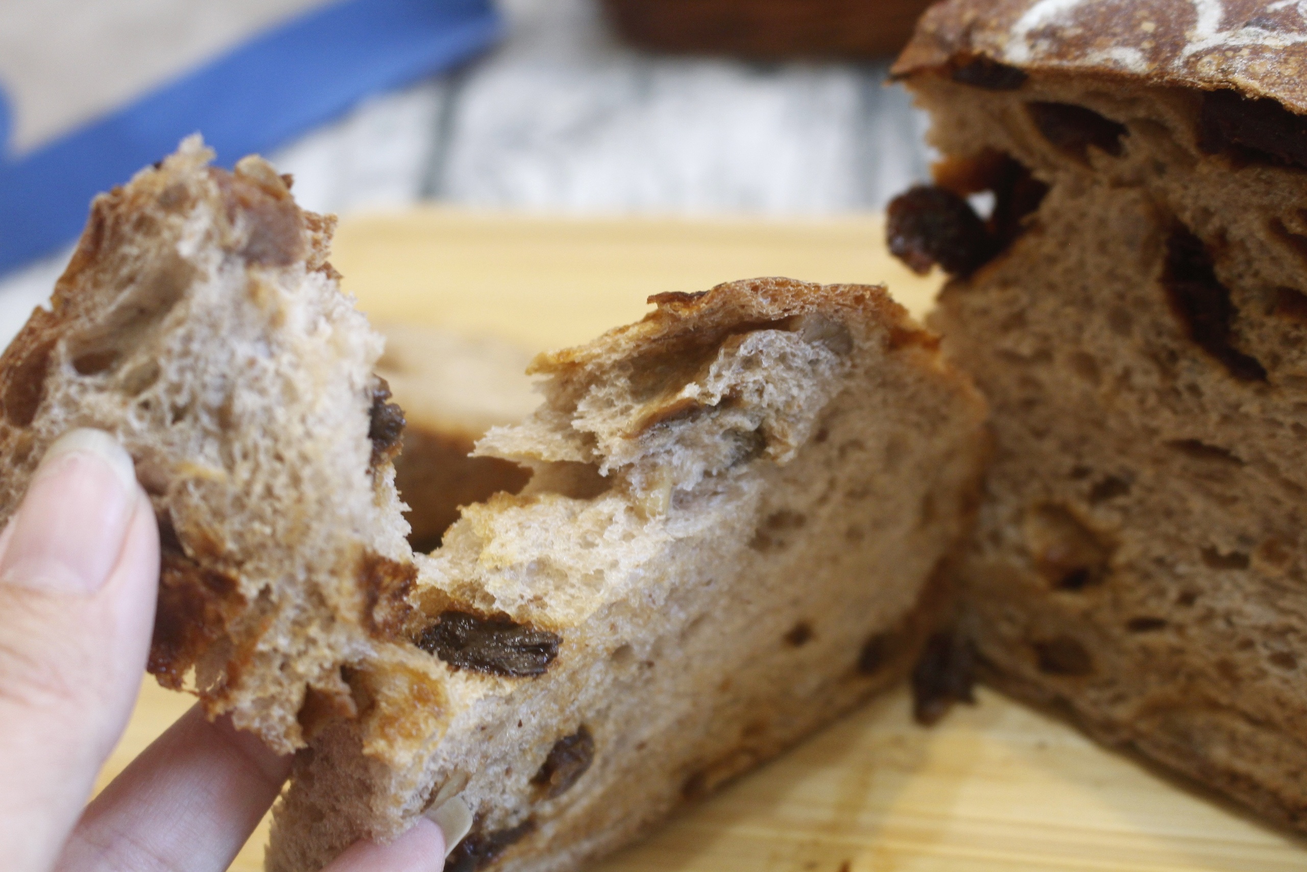 【桃園 REAL真‧CAFÉ‧BREAD】新型態麵包時尚店。鎮店之寶「酒釀桂圓」歐式麵包超美味！