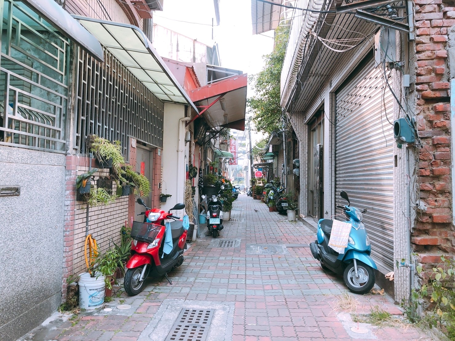 【台南 賀HeR巷內食間】隱密巷弄的古宅烤饅頭。超夯的好拍文藝打卡店 【台南 賀HeR巷內食間】隱密巷弄的古宅烤饅頭。超夯的好拍文藝打卡店