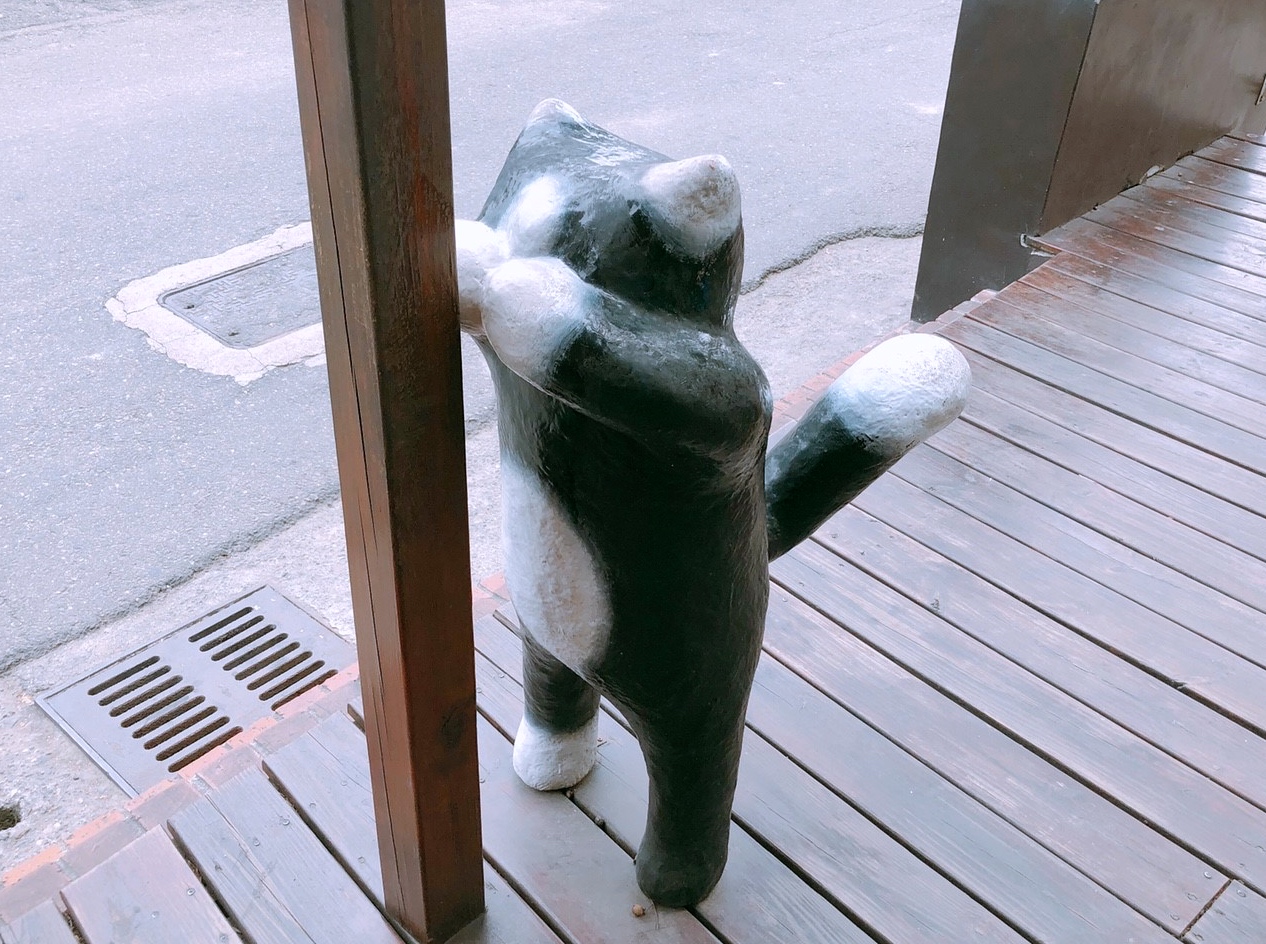 【雲林 貓咪小學堂】超夯IG打卡小學堂。3D情境互動彩繪牆 