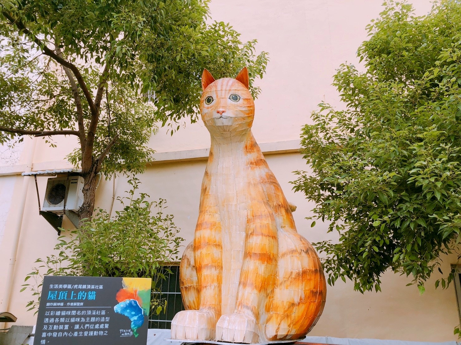【雲林 貓咪小學堂】超夯IG打卡小學堂。3D情境互動彩繪牆 
