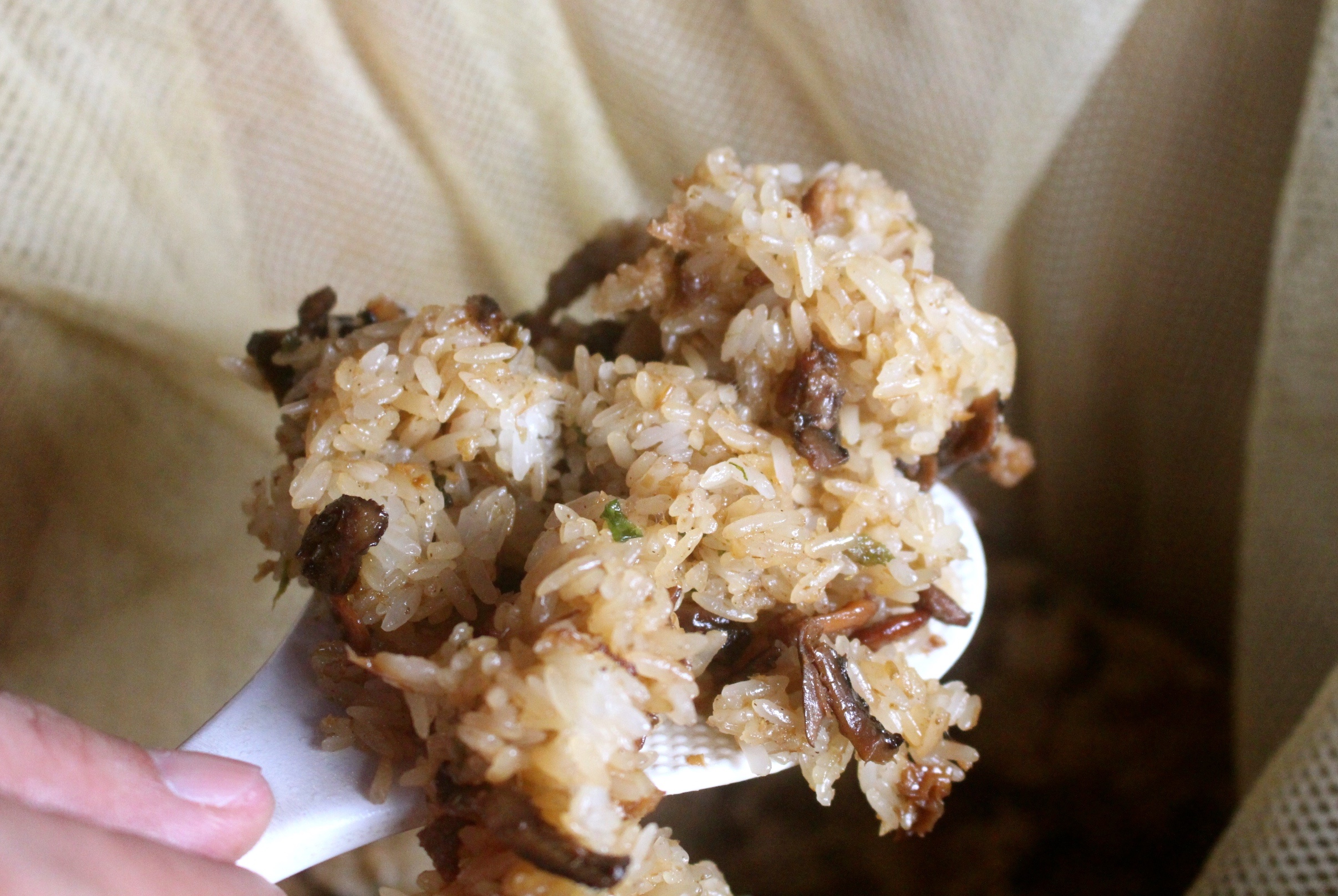 【桃園 八塊油飯】假日才營業的古早味手工油飯。鮮嫩麻油雞腿片、小孩都愛的小肉豆 【桃園 八塊油飯】假日才營業的古早味手工油飯。鮮嫩麻油雞腿片、小孩都愛的小肉豆
