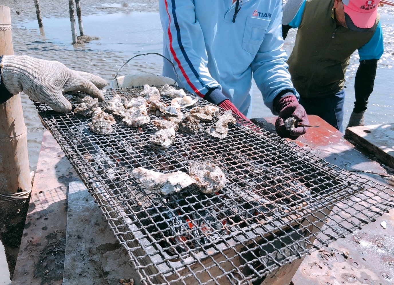 【彰化 阿進帶你採蚵趣】潮間帶搭海牛車體驗：採蚵、挖蛤蠣。烤蚵秋刀魚超好吃
