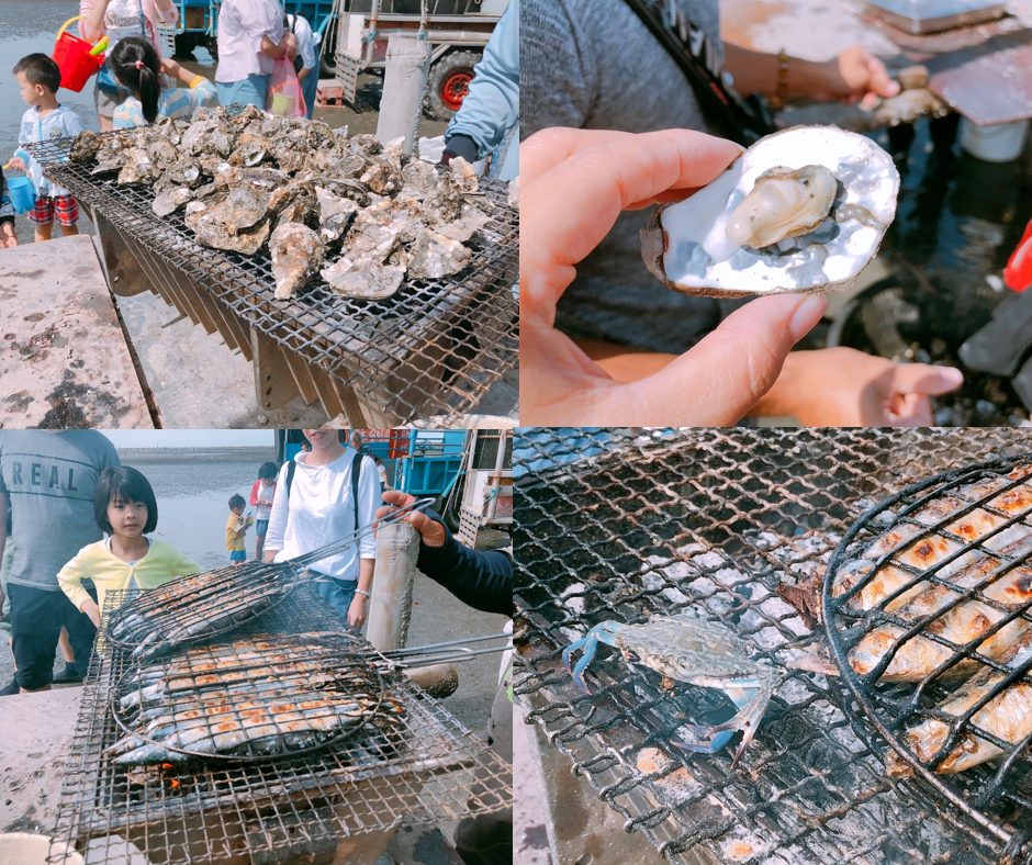 【彰化 阿進帶你採蚵趣】潮間帶搭海牛車體驗：採蚵、挖蛤蠣。烤蚵秋刀魚超好吃