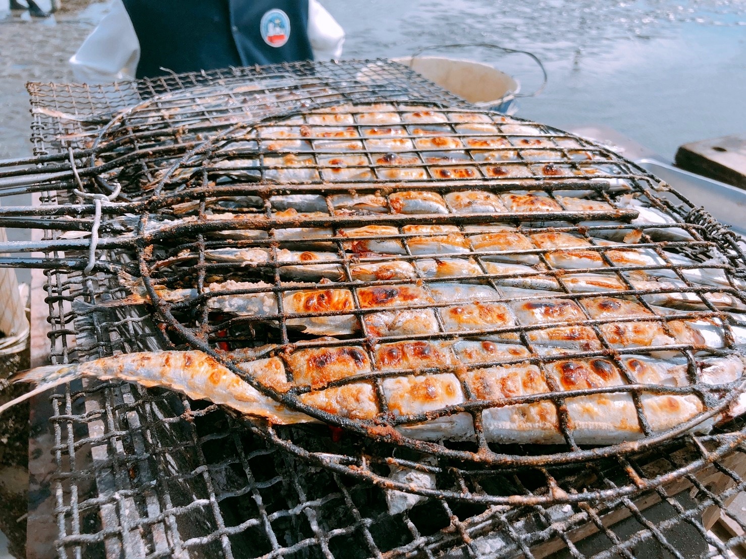 【彰化 阿進帶你採蚵趣】潮間帶搭海牛車體驗：採蚵、挖蛤蠣。烤蚵秋刀魚超好吃