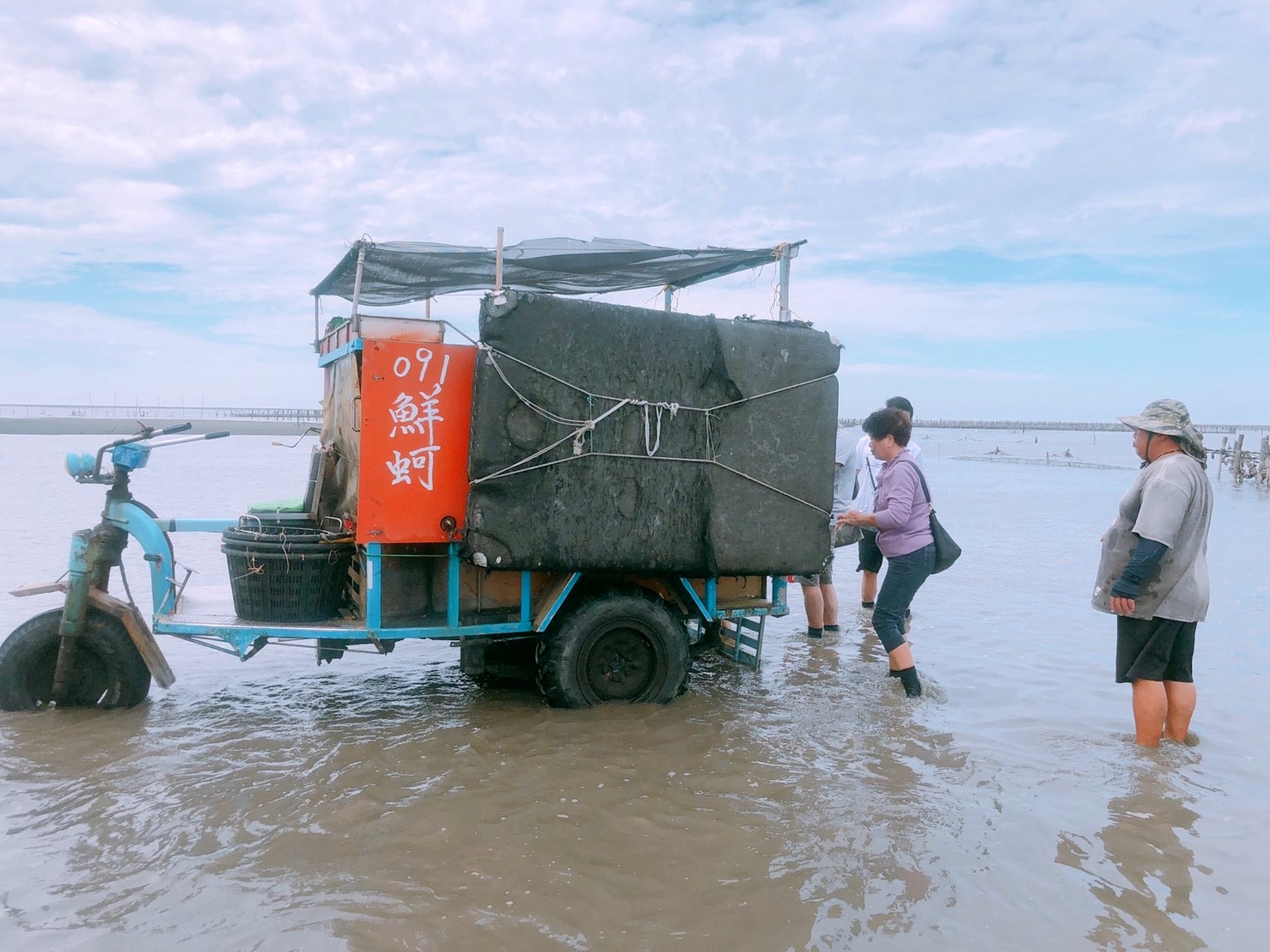 【彰化 阿進帶你採蚵趣】潮間帶搭海牛車體驗：採蚵、挖蛤蠣。烤蚵秋刀魚超好吃