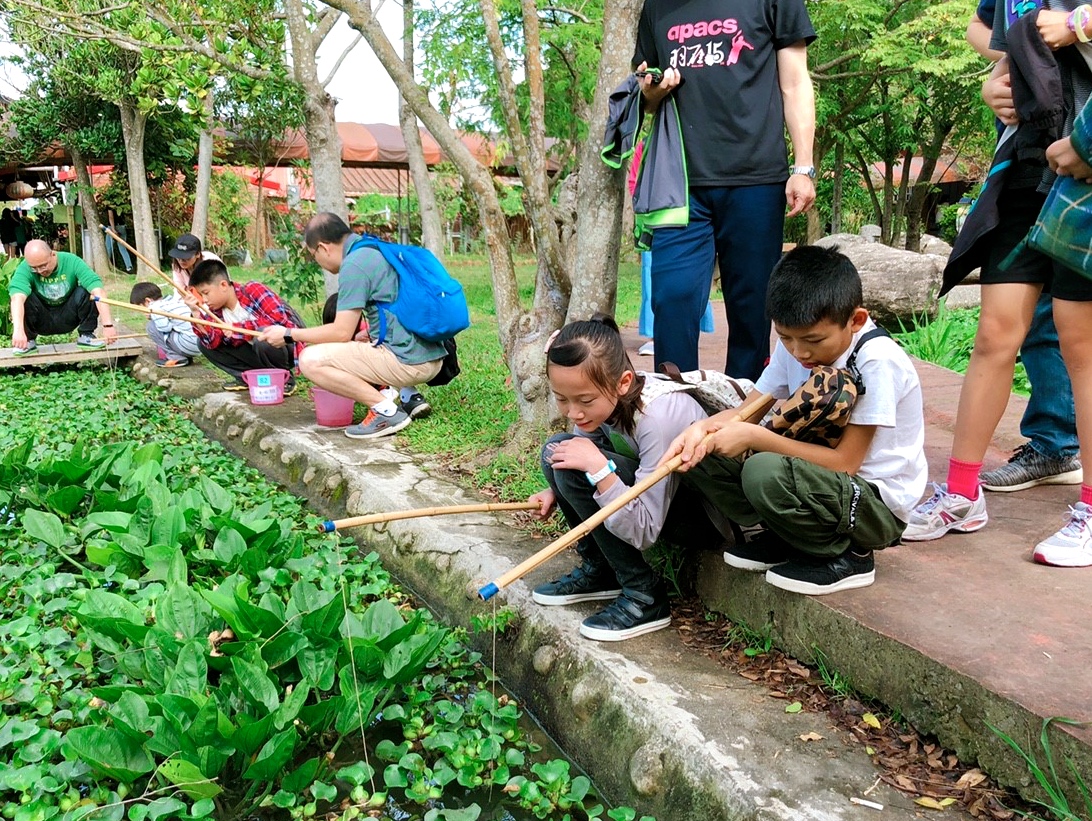 桃園農場,桃園景點,玩水,蓋窯,餐廳,親子,農場,餵食,活力健康農場