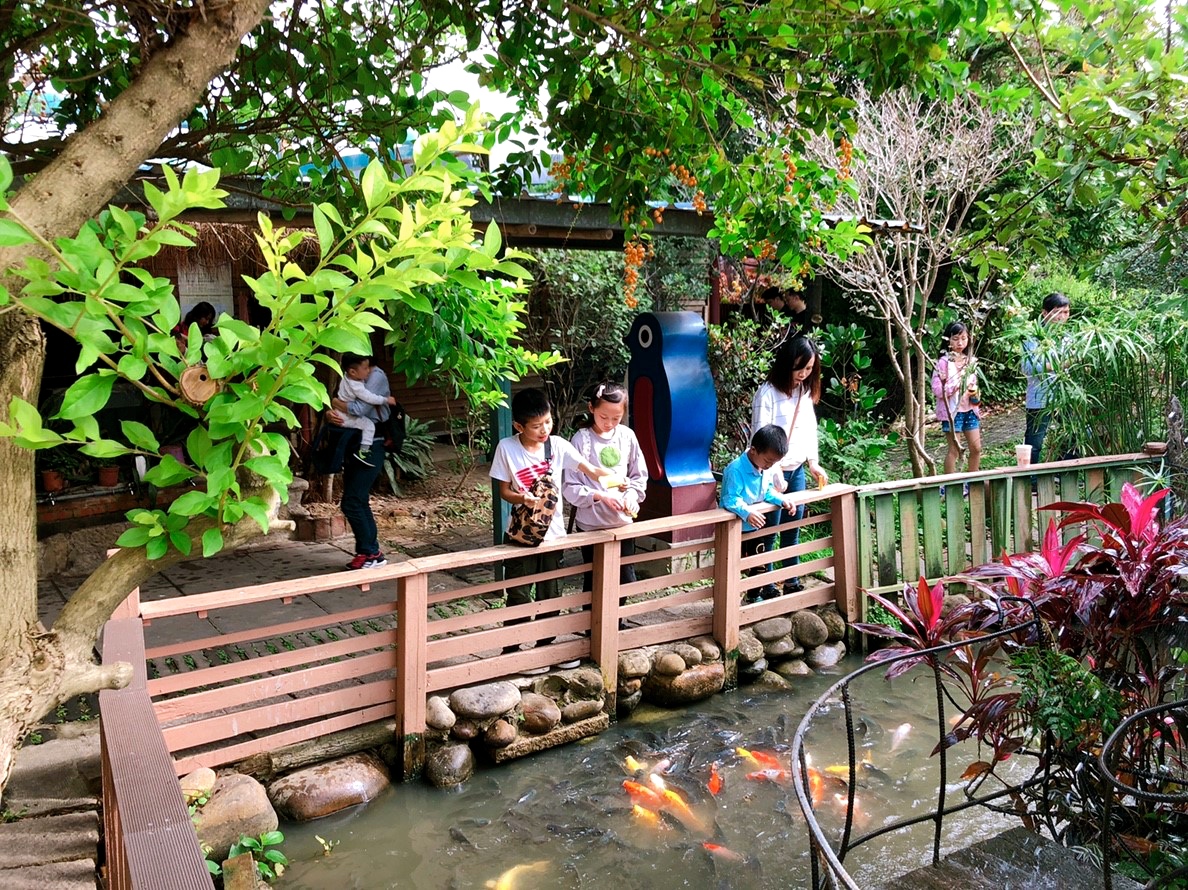 桃園農場,桃園景點,玩水,蓋窯,餐廳,親子,農場,餵食,活力健康農場