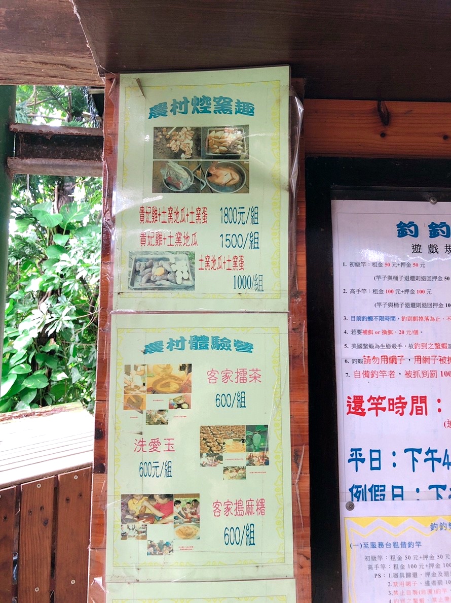 桃園農場,桃園景點,玩水,蓋窯,餐廳,親子,農場,餵食,活力健康農場