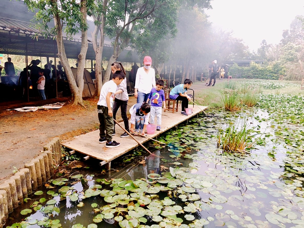 桃園農場,桃園景點,玩水,蓋窯,餐廳,親子,農場,餵食,活力健康農場