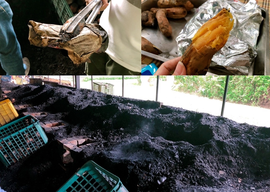 桃園農場,桃園景點,玩水,蓋窯,餐廳,親子,農場,餵食,活力健康農場