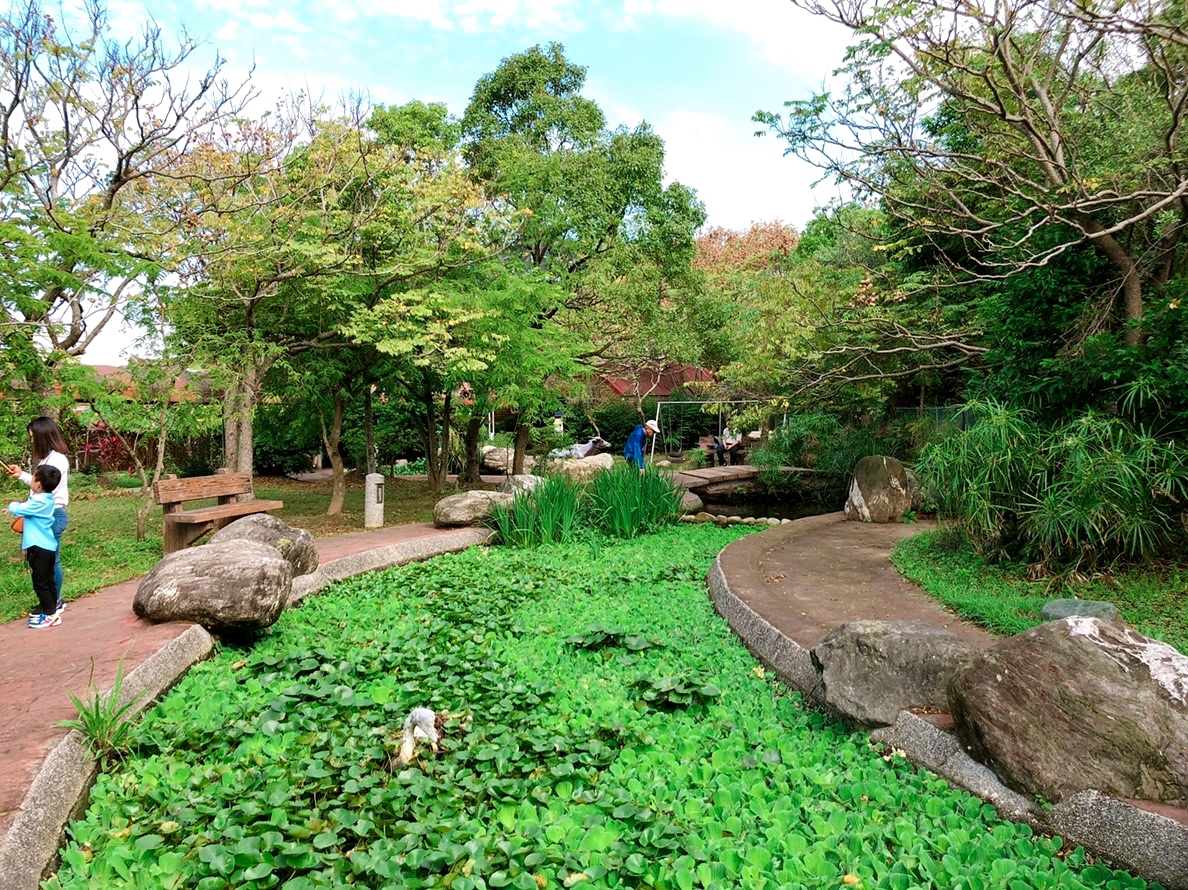 桃園農場,桃園景點,玩水,蓋窯,餐廳,親子,農場,餵食,活力健康農場